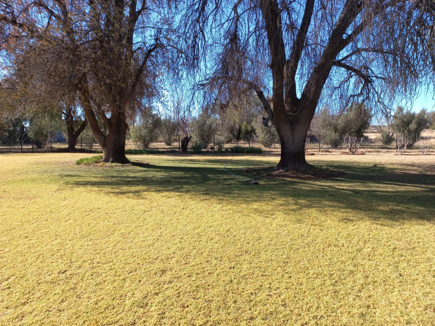 Commercial Property for Sale in Douglas Rural Northern Cape